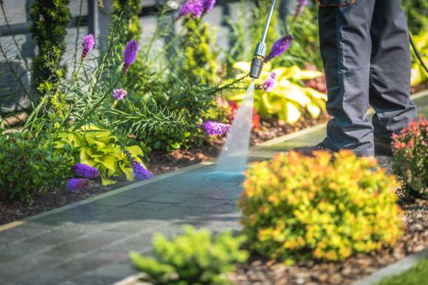 Best Roof Washing  in Morristown, NJ